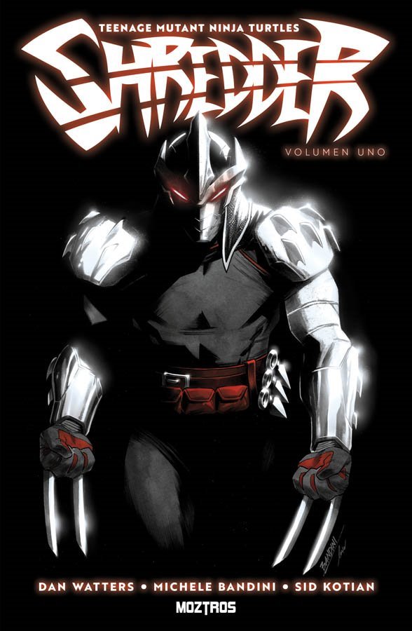 Teenage Mutant Ninja Turtles: Shredder 1